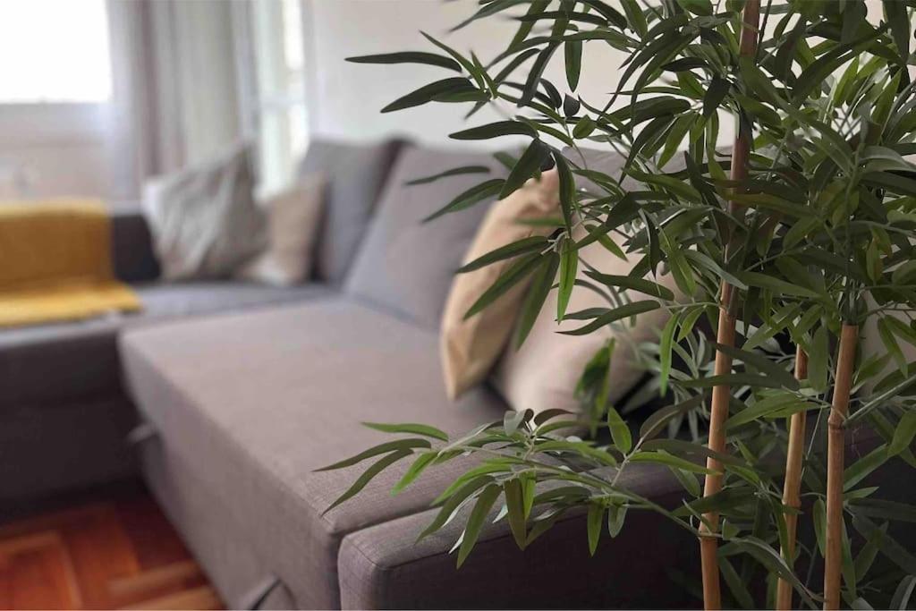 Apartamento Precioso Apartamento Centrico En Vigo